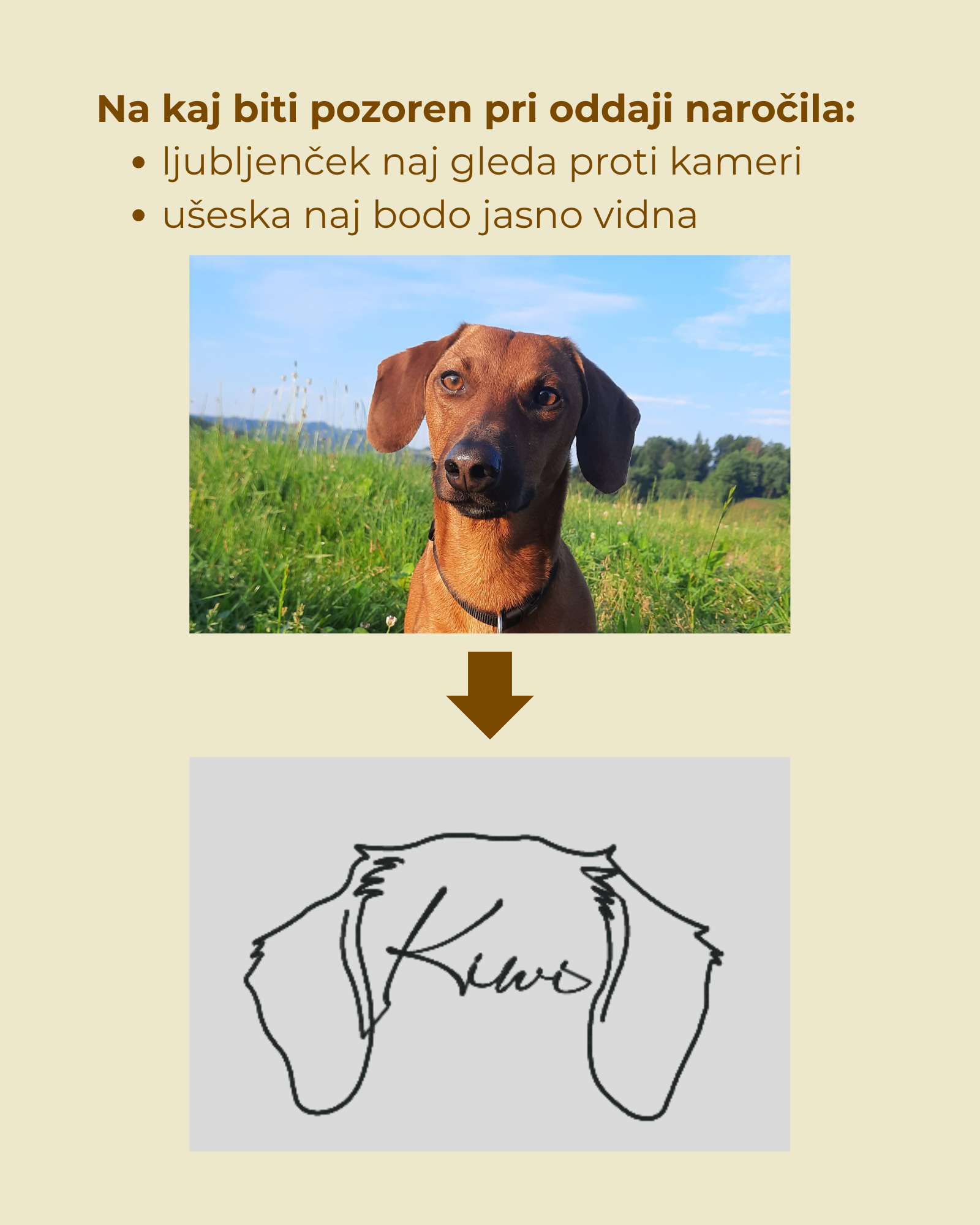 Personalizirana ušeska in ime vašega ljubljenčka